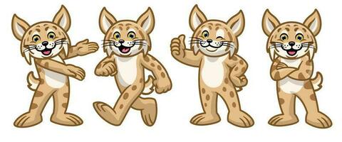 set of cartoon bobcat character vector