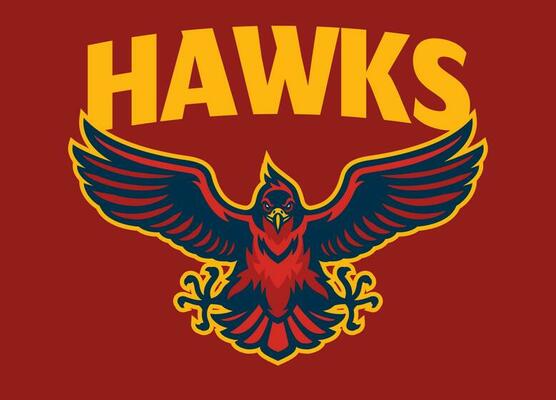 Hawk Sport Mascot Logo Spreading the Wings