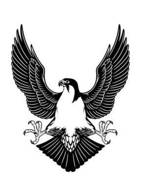 Drawing of Hawk Spreading the Wings