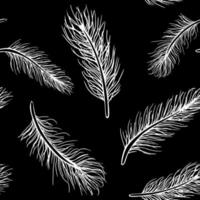 Seamless pattern with white feathers on black background vector