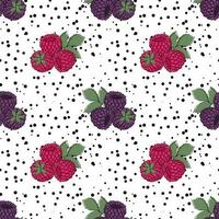 Seamless pattern of Raspberry and  Blackberry vector