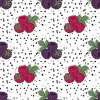 Seamless pattern of Raspberry and  Blackberry vector