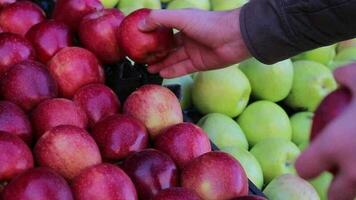 verde y rojo manzana frutas en verdulero, persona comprando y elige manzanas desde tienda de comestibles almacenar, selectivo atención video