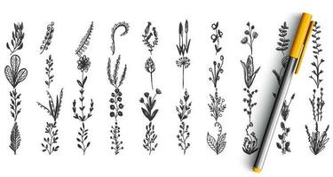 Wild plants doodle set vector