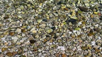 Pure Sea Water and Little Stones Pebbles in Underwater video