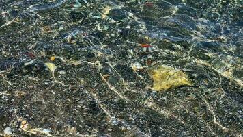 Pure Sea Water and Little Stones Pebbles in Underwater video