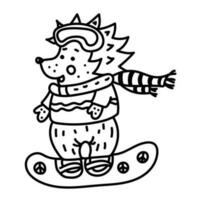 Web Hedgehog in goggles on a snowboard in doodle style. winter sports at holidays. line art vector