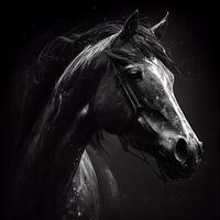 Horse portrait with drops of water on black background. Digital painting, Image photo