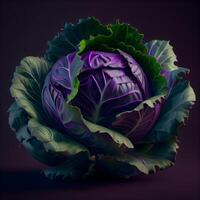 cabbage in a vase, 3d illustration, dark background, Image photo