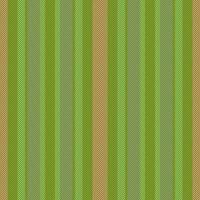 Textile vertical pattern. Seamless lines vector. Stripe background texture fabric. vector