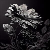 Beautiful black and white flower on black background, monochrome, Image photo