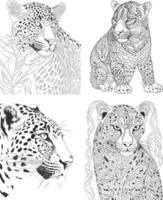 un dibujo de un leopardo y un leopardo vector