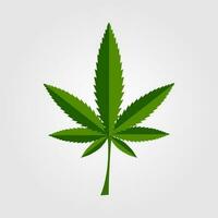 Green cannabis leaf icon design vector