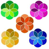 Beautiful five vector flower full colour on white background