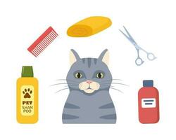 Cat grooming. Happy cat character, tools for pet grooming. Scissors, brush, shampoo, towel. Cat hair salon. Vector illustration.