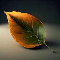 Leaf on a black background. 3d render. Illustration., Image photo