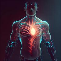 humano corazón con las venas anatomía para médico concepto 3d ilustración, ai generativo imagen foto