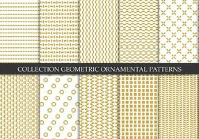 colección de sin costura ornamental elegante geométrico patrones vector