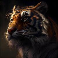 Close-up portrait of a tiger in a dark background. The concept of the year of the tiger., Image photo