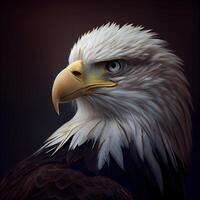 Bald Eagle on a dark background. 3d render illustration., Image photo