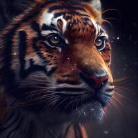 Tiger portrait. Digital painting of a tiger in the fire., Image photo