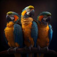 Three macaws sitting on a branch on a black background. 3d render, Image photo