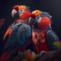 Beautiful macaw parrots on a dark background, close up, Image photo