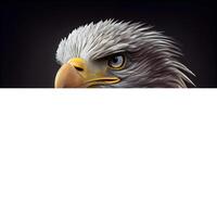 eagle with blank banner isolated on black background. 3d illustration, Image photo