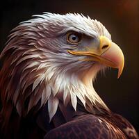 american bald eagle on a dark background. 3d illustration., Image photo