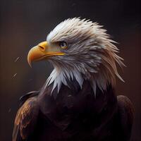 Bald Eagle on a dark background. 3d rendering. Computer digital drawing., Image photo