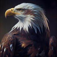 Bald Eagle. Digital painting. 3D illustration. 3D rendering., Image photo