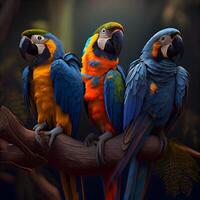 Colorful macaws sitting on a tree branch. 3d rendering, Image photo