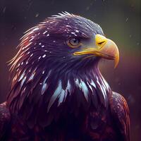 Beautiful eagle portrait. Close-up portrait of a majestic bird of prey., Image photo