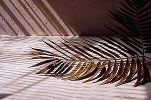 Palm tropical leaf illustration. Foliar background with shadow. photo