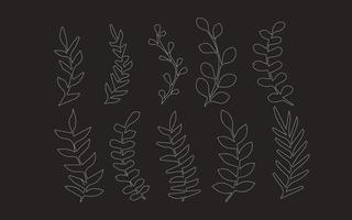 set line botanical leaves symbol vector