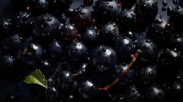 Juicy berries of black currant, background, Water droplets on black currant.. Created with photo