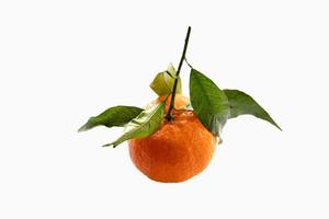 naranja mandarín en un blanco antecedentes aislado con verde hojas foto