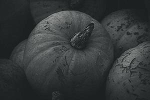 naranja otoño Fresco calabaza acostado al aire libre como un decoración foto