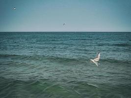verano fiesta paisaje con azul mar agua y cielo y un volador Gaviota en un calentar día foto