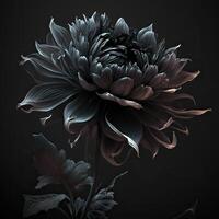 . . Macro shot of dark moody botanical flower. Can be used for graphic design or home decoration. Graphic Art photo