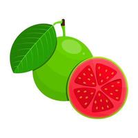 Guava Is A Fruit That Has A Fresh Sweet And Slightly Sour Taste. This Fruit Grows In Tropical Climates vector