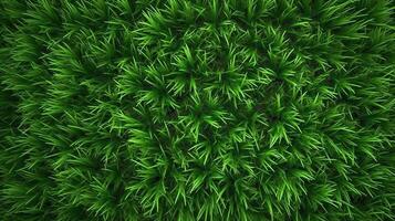. . Concept of photo of green grass. Background pattern farming. Can be used for graphic design. Graphic Art
