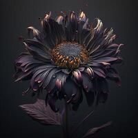 . . Macro shot of dark moody botanical flower. Can be used for graphic design or home decoration. Graphic Art photo