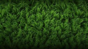 . . Concept of photo of green grass. Background pattern farming. Can be used for graphic design. Graphic Art