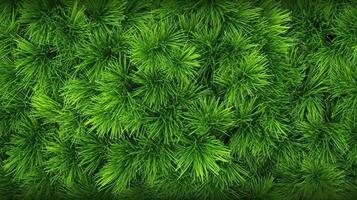 . . Concept of photo of green grass. Background pattern farming. Can be used for graphic design. Graphic Art