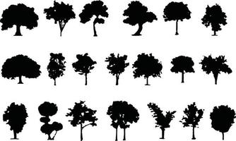 árbol silueta vector