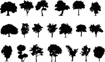 tree silhouette vector