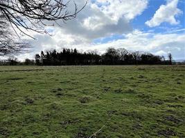 A view of the Shropshire Countryside near Shrewsbury photo