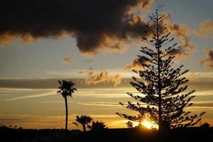 Dramatic Sky at Sunset and Silhouettes of Trees photo