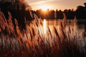 Beautiful reed grass by a lake at sunset created with technology. photo